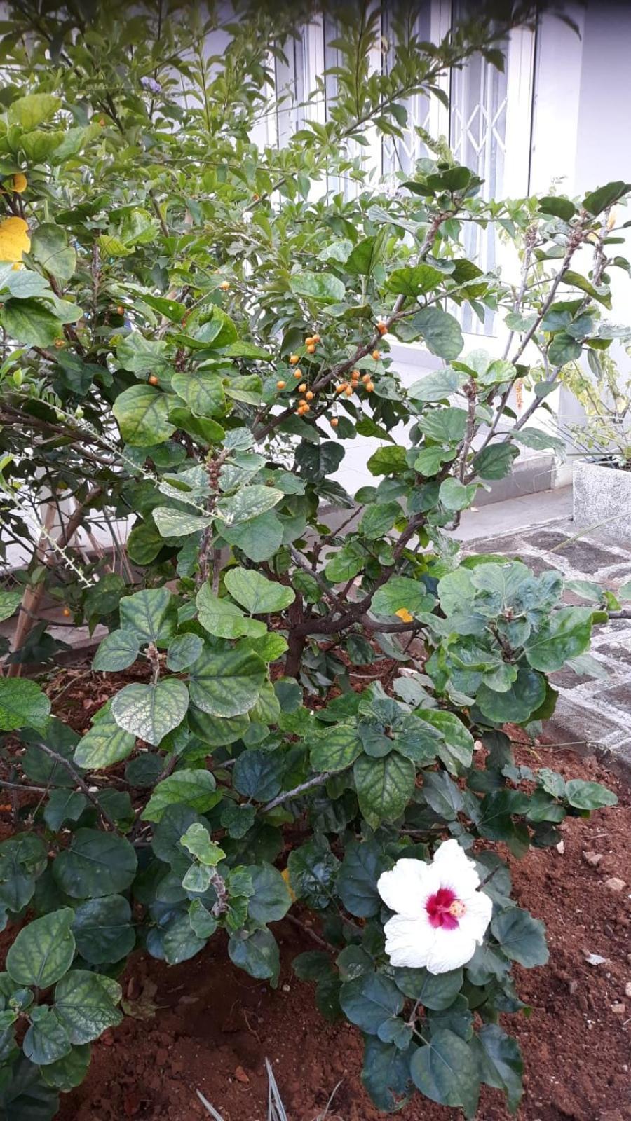 Mahebourg Family Home Luaran gambar